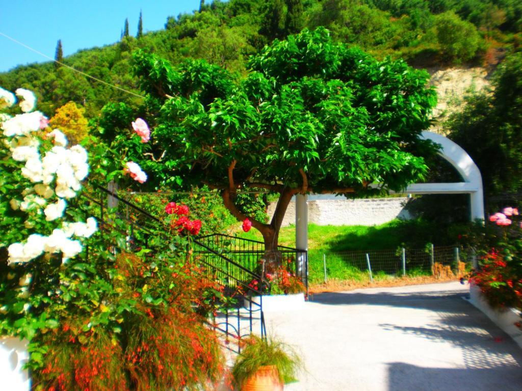 Oasis Hotel Parga Luaran gambar